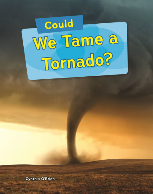 Book cover for Could We Tame a Tornado?