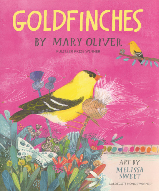 Book cover for Goldfinches