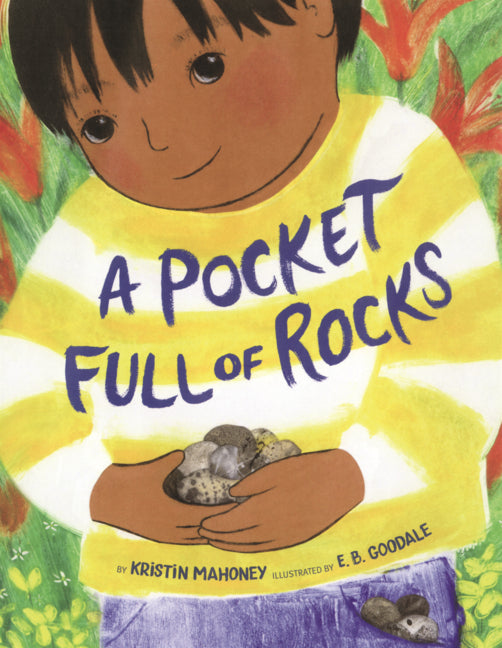 Book cover for Pocket Full of Rocks