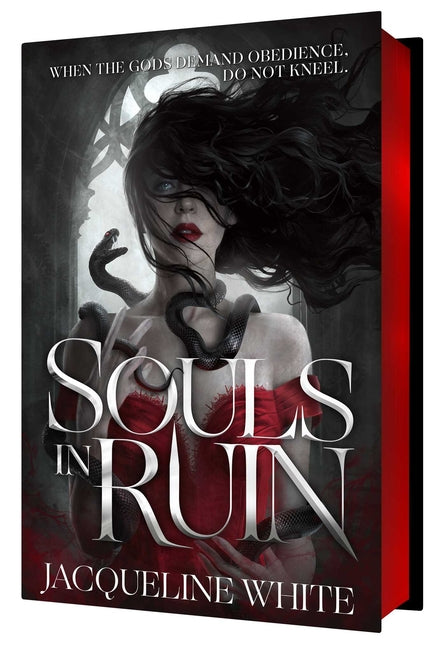 Book cover for Souls in Ruin