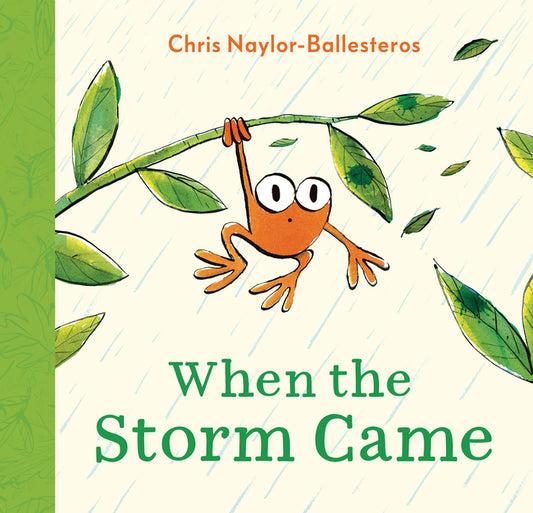 Book cover for When the Storm Came