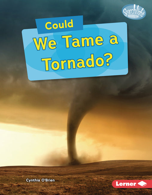 Book cover for Could We Tame a Tornado?