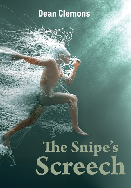 Book cover for Snipe's Screech