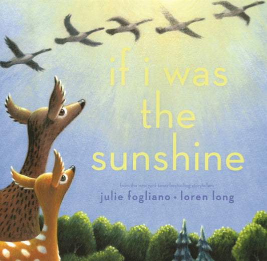 Book cover for If I Was the Sunshine