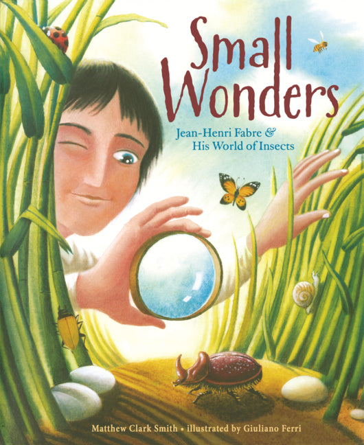 Book cover for Small Wonders: Jean-Henri Fabre and His World of Insects
