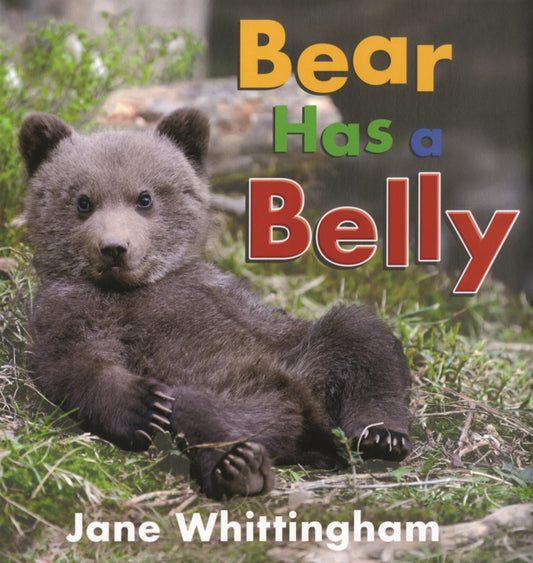 Book cover for Bear Has a Belly