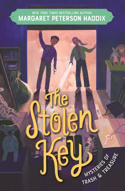 Book cover for Stolen Key
