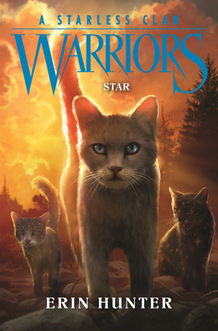 Book cover for Star