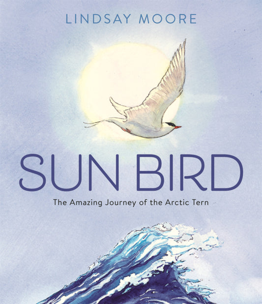 Book cover for Sun Bird: The Amazing Journey of the Arctic Tern