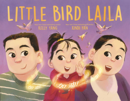 Book cover for Little Bird Laila