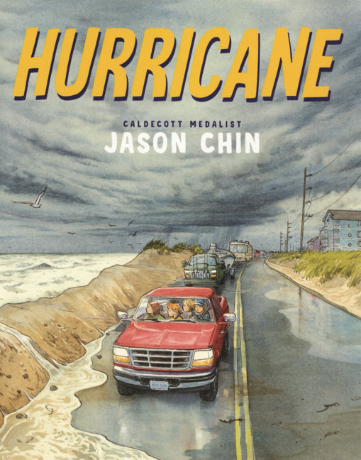 Book cover for Hurricane