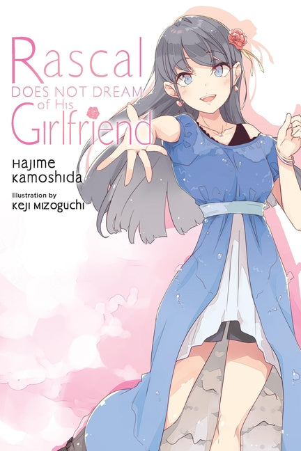 Book cover for Rascal Does Not Dream of His Girlfriend (Light Novel): Volume 14