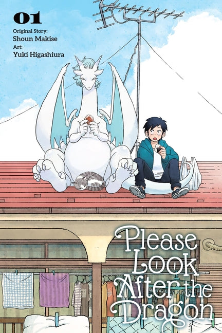 Book cover for Please Look After the Dragon, Vol. 1