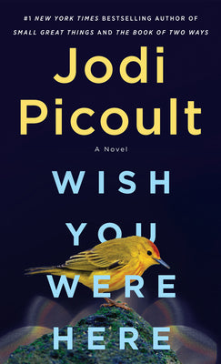 Book cover for Wish You Were Here