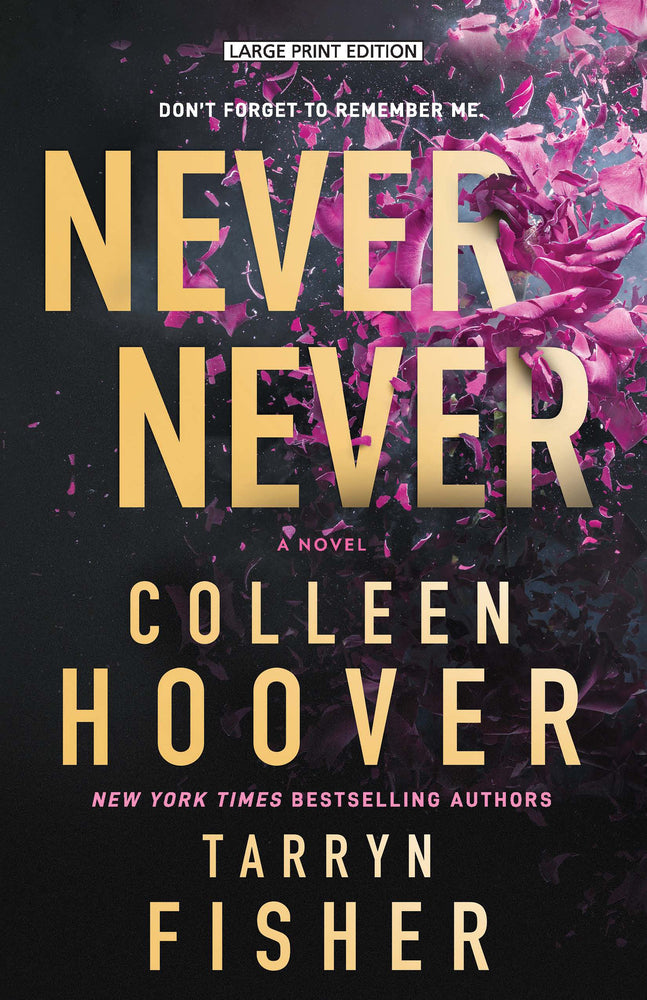 Book cover for Never Never