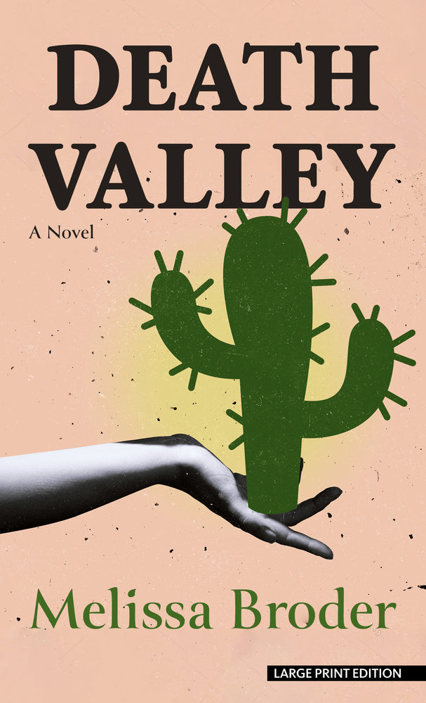 Book cover for Death Valley