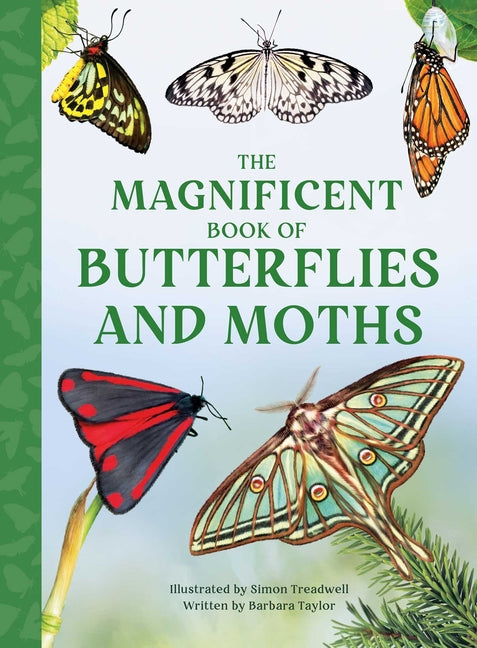 Book cover for Magnificent Book of Butterflies & Moths