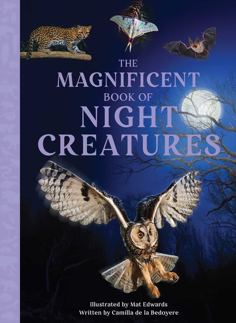Book cover for Magnificent Book of Night Creatures