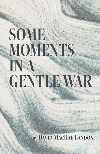 Book cover for Some Moments in a Gentle War