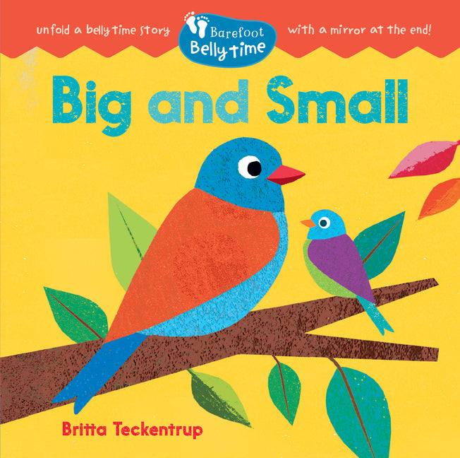 Book cover for Barefoot Belly Time: Big and Small