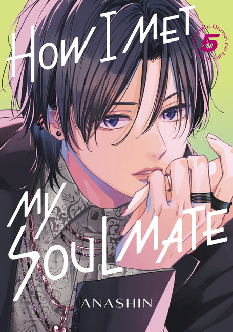 Book cover for How I Met My Soulmate 5