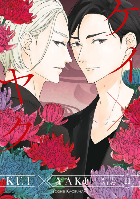 Book cover for Kei X Yaku: Bound by Law 11