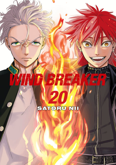 Book cover for Wind Breaker 20
