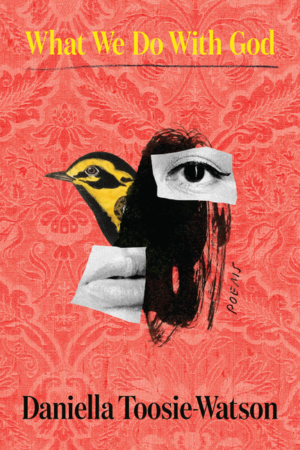 Book cover for What We Do with God: Poems