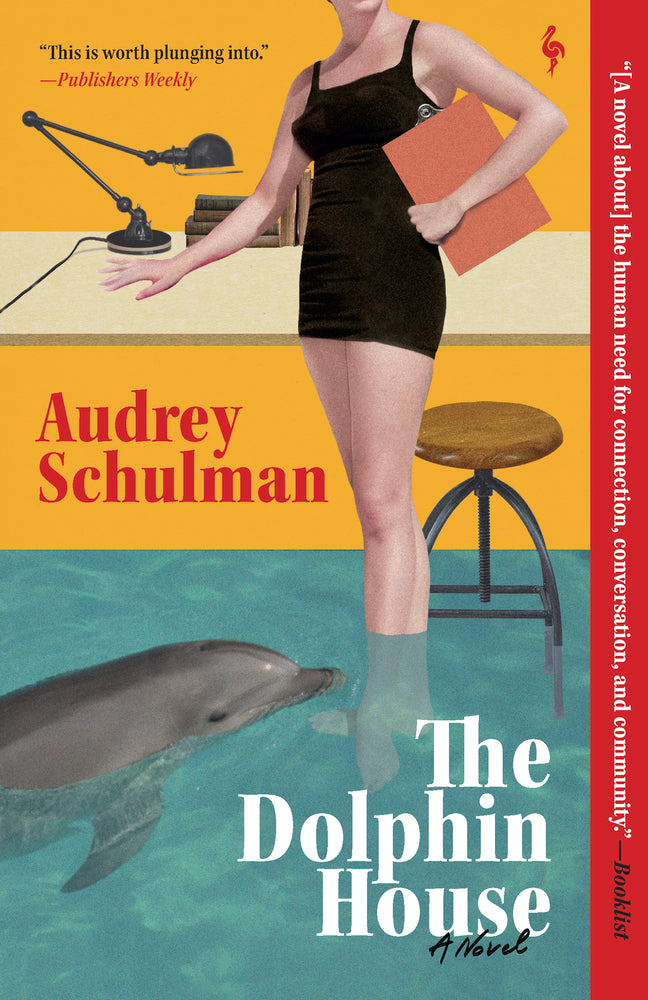 Book cover for The Dolphin House