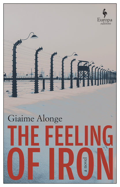 Book cover for Feeling of Iron