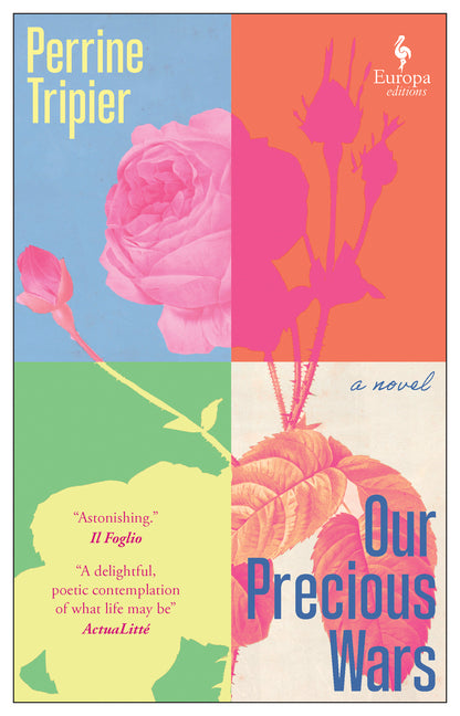 Book cover for Our Precious Wars