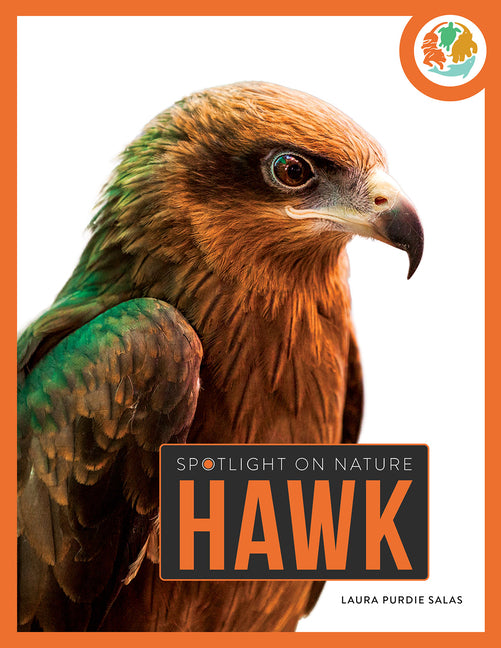 Book cover for Hawk