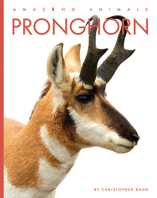Book cover for Pronghorn