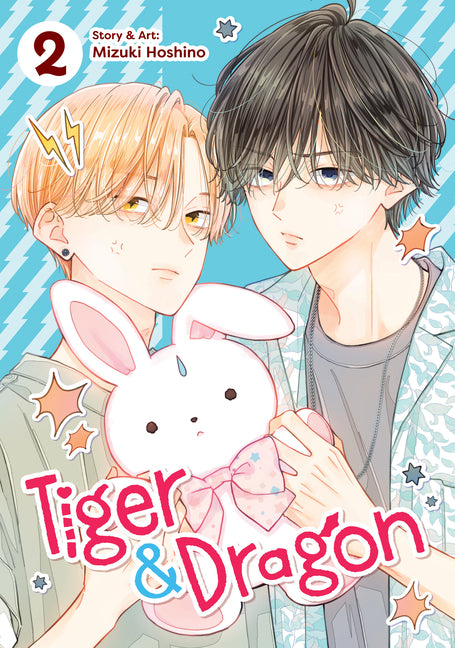 Book cover for Tiger and Dragon Vol. 2