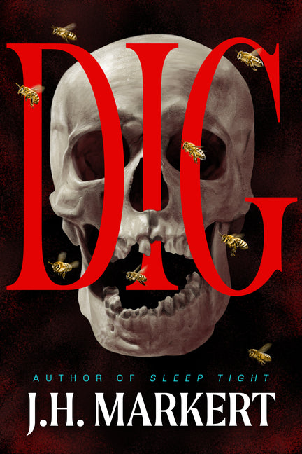 Book cover for Dig: A Thriller