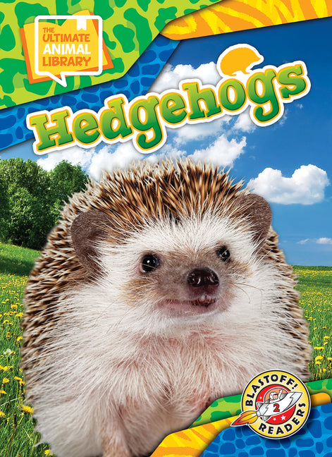 Book cover for Hedgehogs