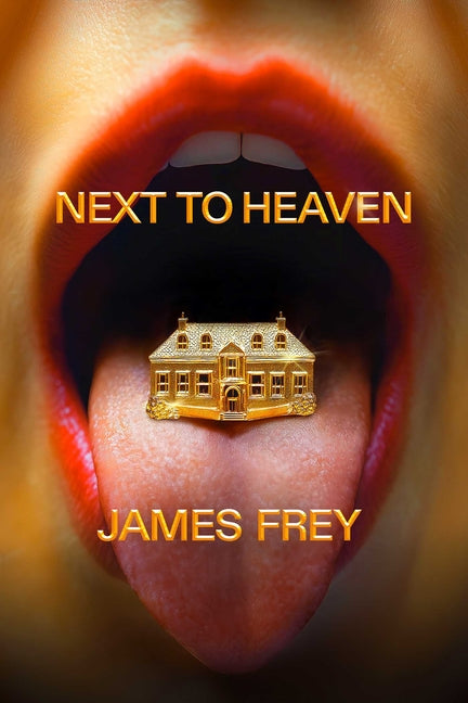 Book cover for Next to Heaven