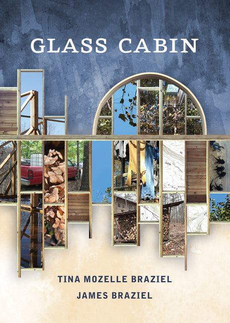 Book cover for Glass Cabin