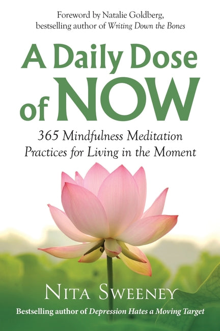 Book cover for A Daily Dose of Now: 365 Mindfulness Meditation Practices for Living in the Moment