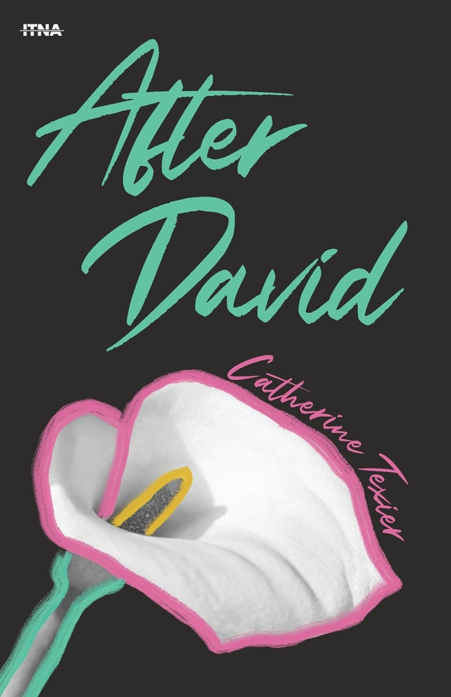 Book cover for After David