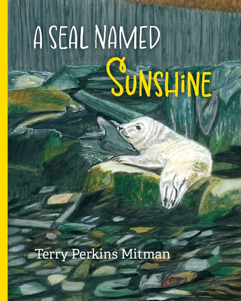 Book cover for A Seal Named Sunshine: The Story of Sunshine and All the Rest Who Made a Big Splash One Winter in Maine