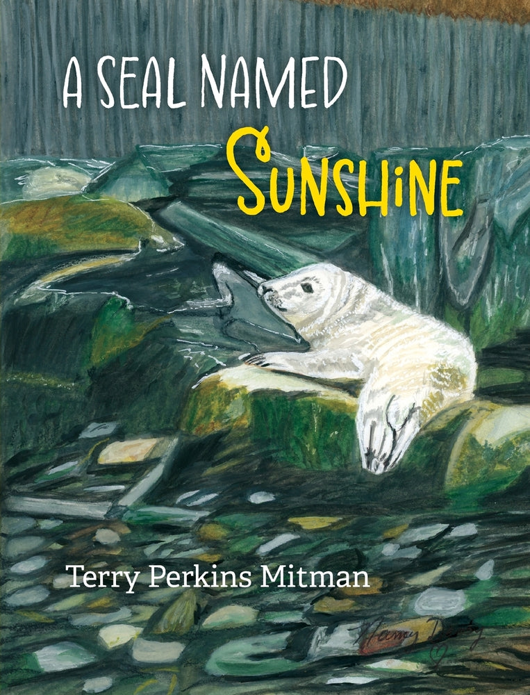 Book cover for A Seal Named Sunshine: The Story of Sunshine and All the Rest Who Made a Big Splash One Winter in Maine