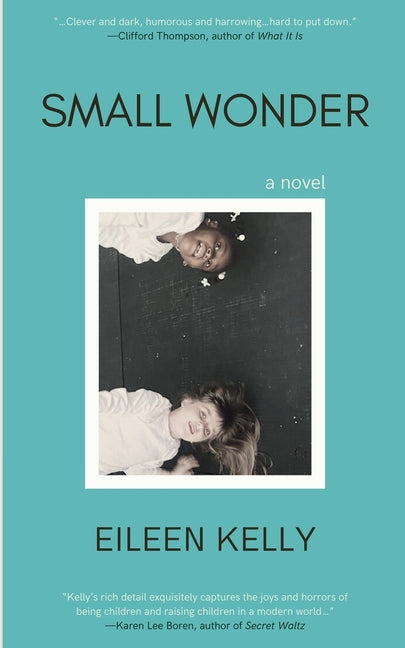 Book cover for Small Wonder
