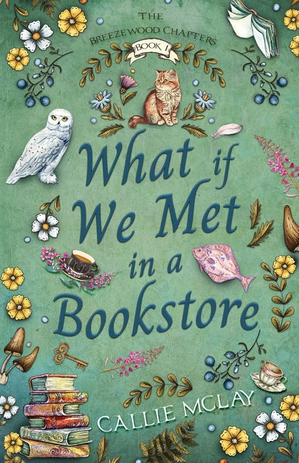 Book cover for What If We Met In A Bookstore