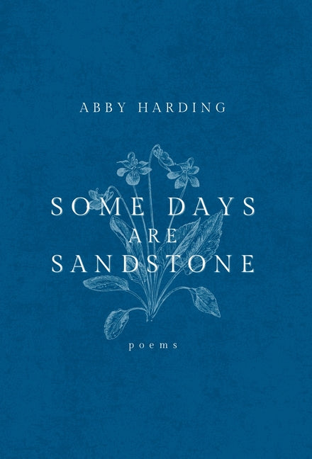 Book cover for Some Days Are Sandstone