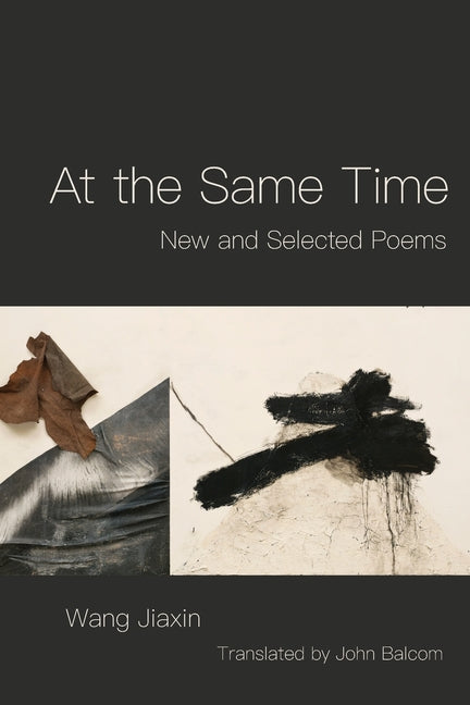 Book cover for At the Same Time